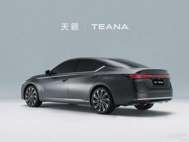 世家领衔 广州车展值得关注新车开元棋牌app零跑A10至境(图17)